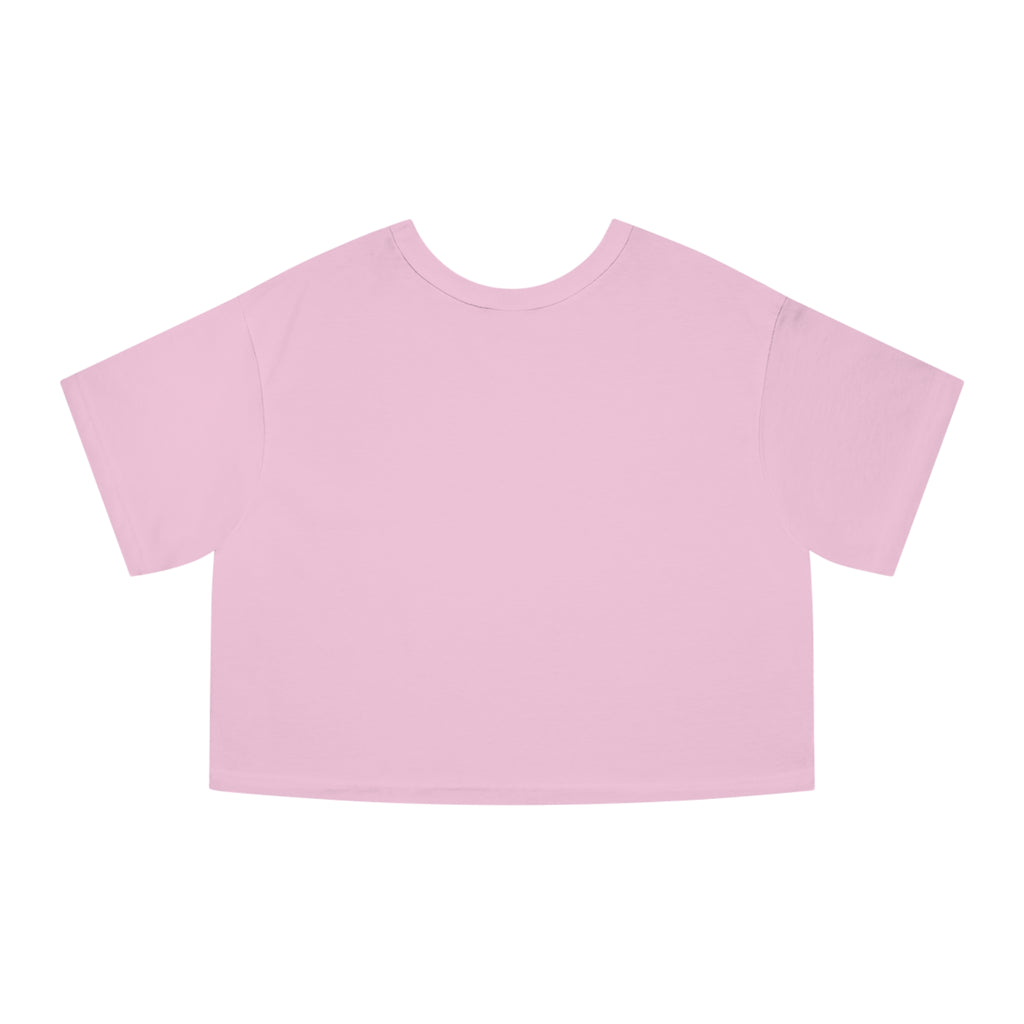 Hot Moms Hate Ice Cropped T-Shirt